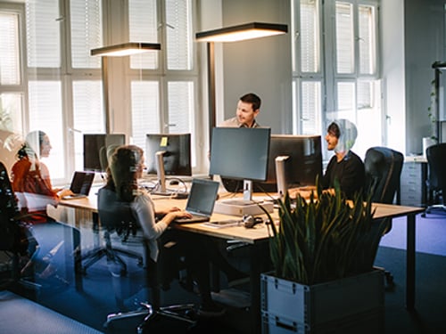 Indoor shot of young business people working in modern office space