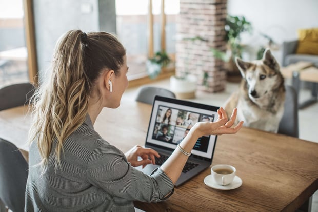 Women at home during pandemic isolation have conference  call, pet dog is with her