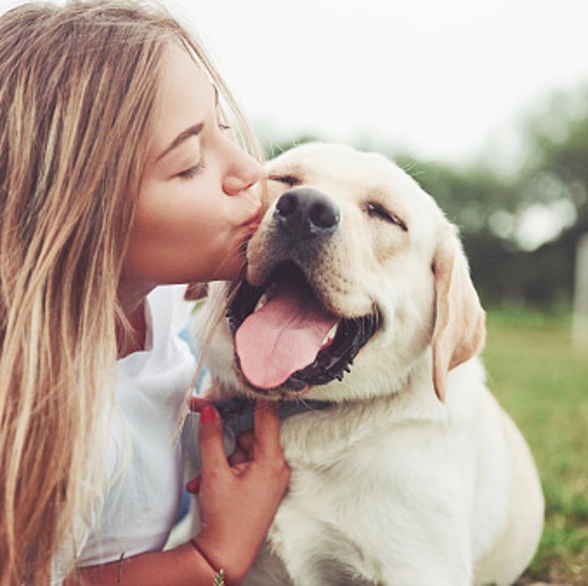 Girl with a dog in a park on green grass