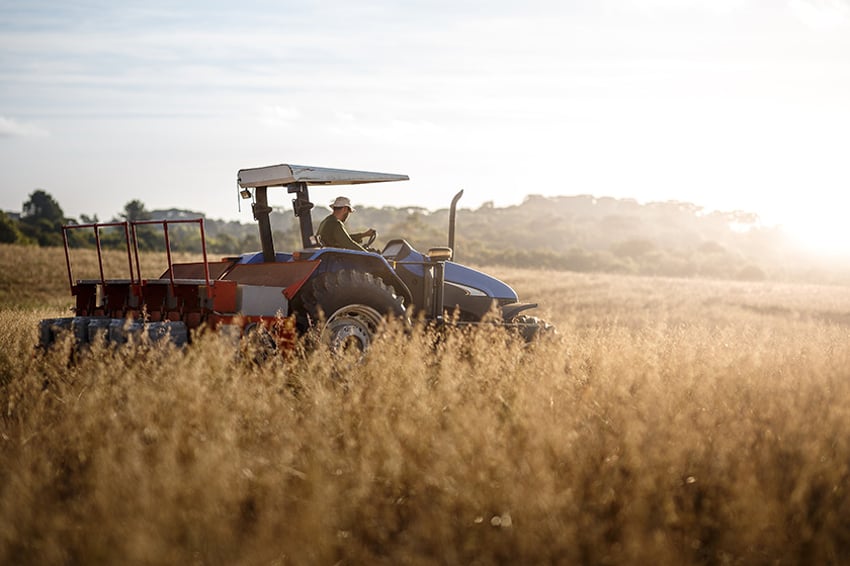 953577456 Tracteur et son conducteur dans un champ de blé